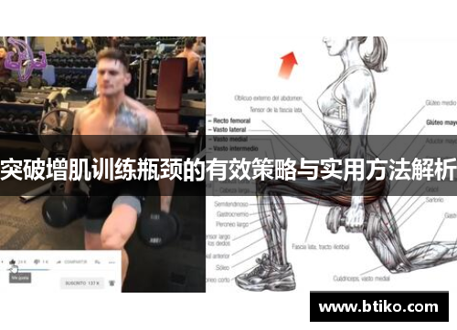 突破增肌训练瓶颈的有效策略与实用方法解析